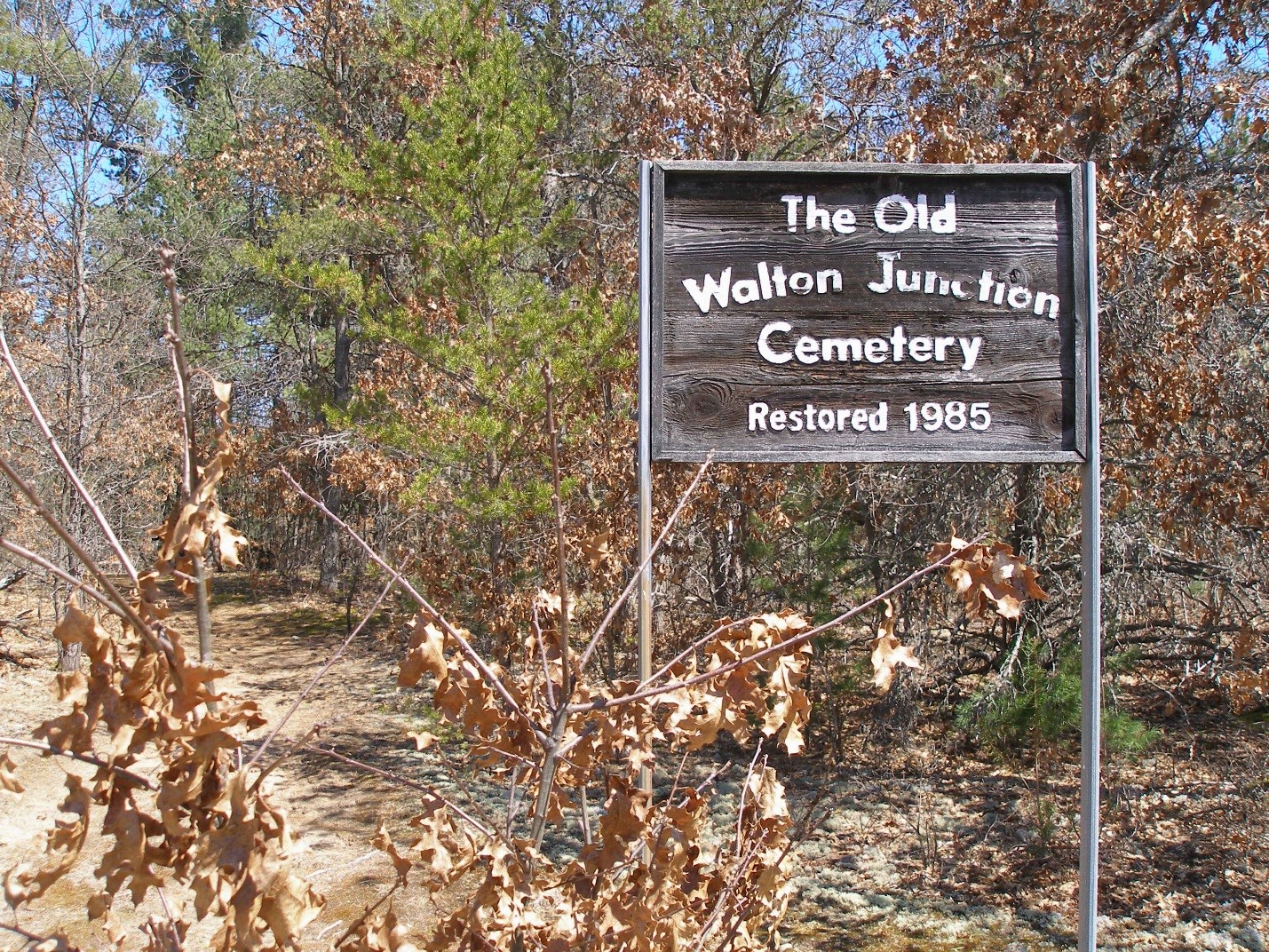 The Long, Lost Town of Walton Junction Randy D Pearson